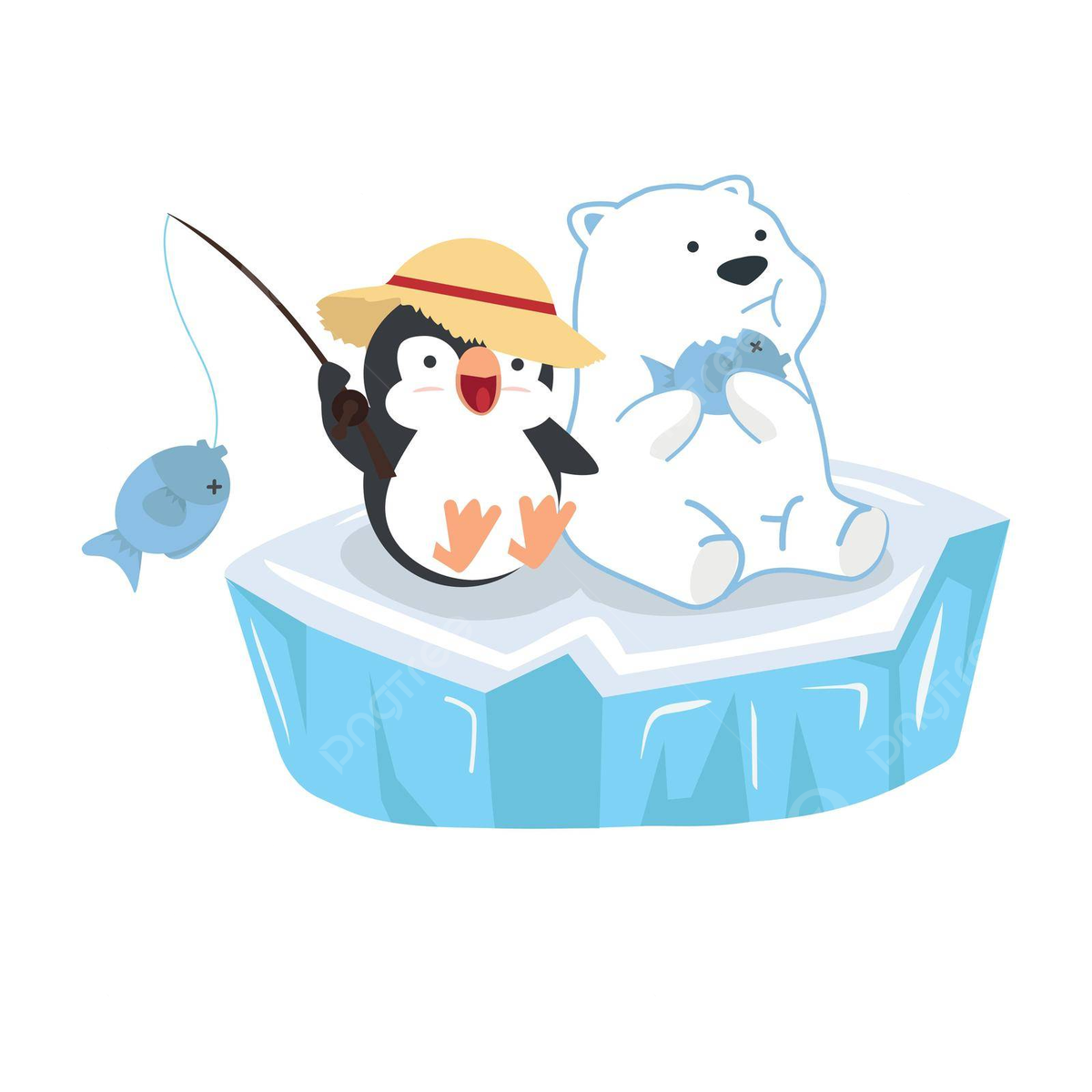 ours et pingouin
